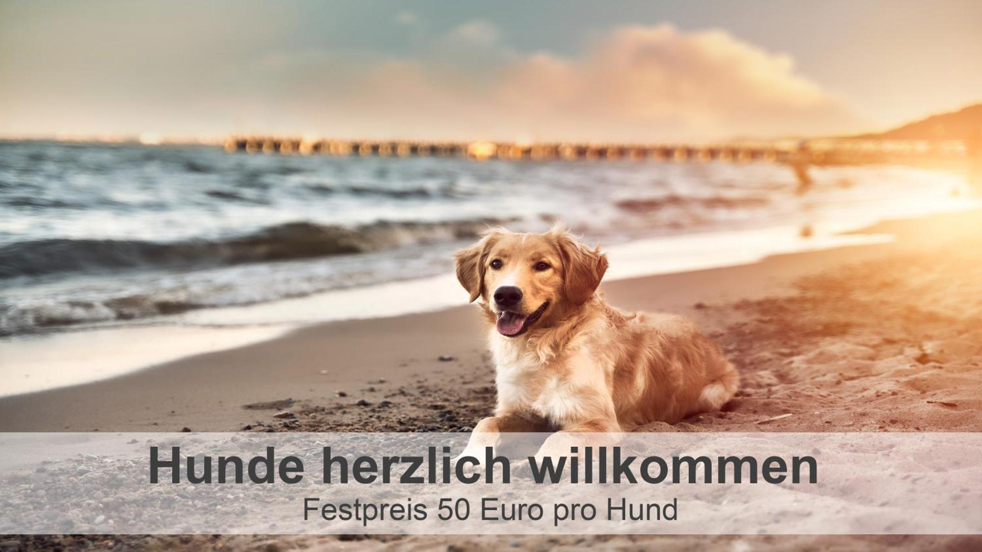 Gulfhof-Ferien Briese Appartement Großheide Buitenkant foto